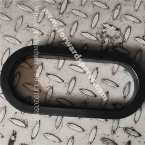 RH22-22A000003A0 protective ring