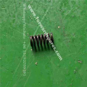 B00549 + YB315Z5 - 20 Oil inlet valve spring