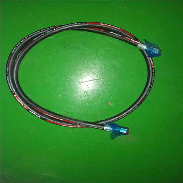 RG21-51C150000A0 Flexible Hose