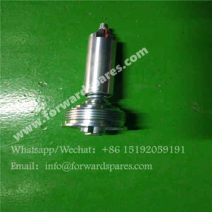 RH21-51A350001A0 Backpressure Valve (0.45 MPa)
