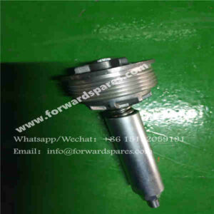 RH21-51A380001A0 Backpressure Valve (0.25 MPa)