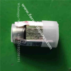RH22-55B000002A0 Threaded one-way throttle valve 1.0
