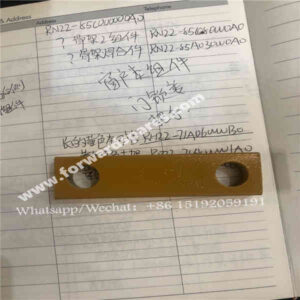 RH22-72A000006A0 / 3D screw plate (Leovo Jinshi Yellow)