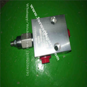 RH31-76A800000A0 Overflow Valve