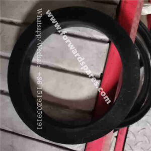 RJ04-22A000001A0 Rubber Ring