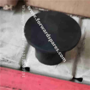 RJ13-11A000005A0 Screw Hole Plug