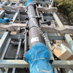 RJ20-72B050000A0/2C Bucket Cylinder (Starry Night Black)