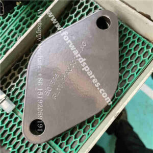 RL11-21A000014A0/2C Cover Plate