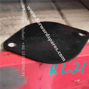 RL11-21A000016A0M24 Hole Plug