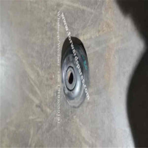 RN21-01A080000A0 CANZHAO Left Rear Leg Assembly