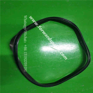 RN21-22A000003A0 Sealing Ring