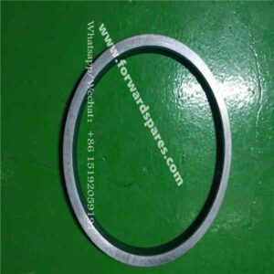 RN21-71A000013A0 Dust Seal 125X110X5