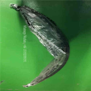 RN33-03A000003A0 Drain Pipe