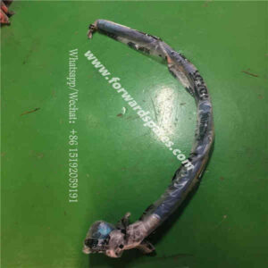 RN41-01B024000A0 Oil Pipe 1