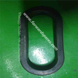 RP21-21A000004A0 Hole Guard Ring