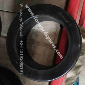 RP21-21A000007A0 Hole Guard Ring
