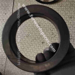 RP21-21A000018A0 Hole Guard Ring