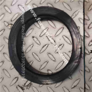 RP21-22A000002A0 Guard Ring 1