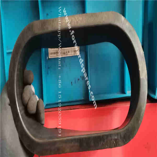 RP21-22A000005A0 Guard Ring 2