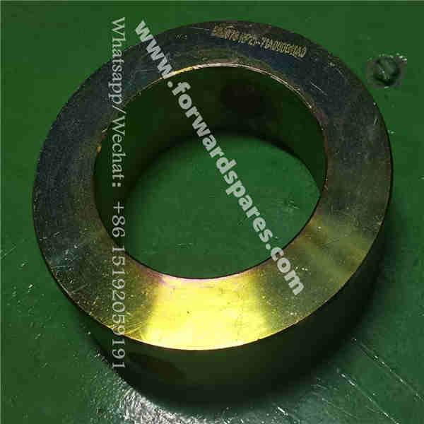 RP21-71A000011A0 retaining ring
