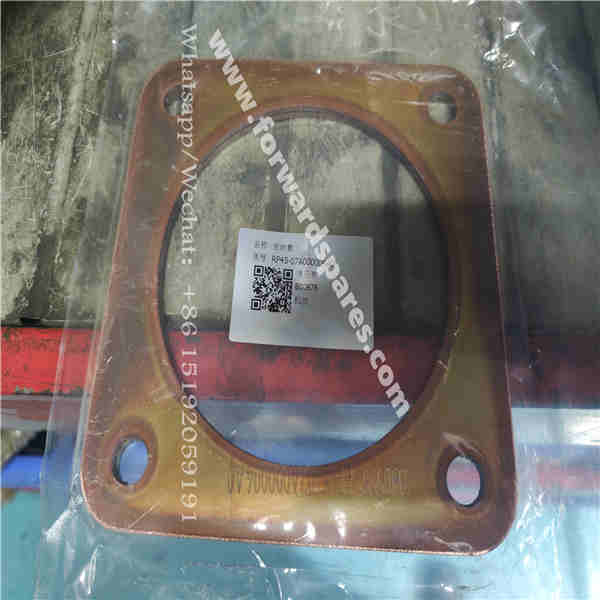RP45-07A000004A0 Sealing Gasket