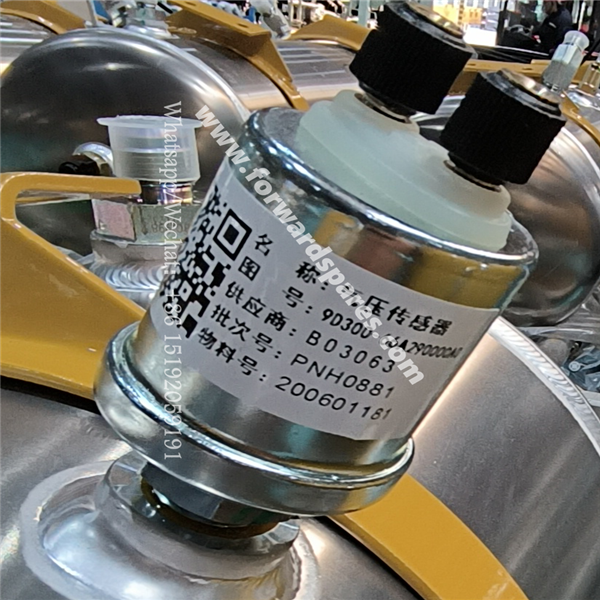 9D300 - 66A290000A0 Pressure Sensor